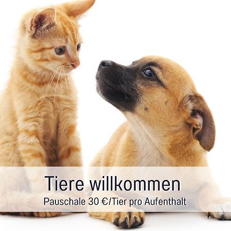 Rosmarin - Kuschelige Fewo - Romantik & Entspannung Im Whirlpool Auf Privater Terrasse, Ruhe & Hund Willkommen - By Ferienwohnenamsee - Uberlingen Exterior foto